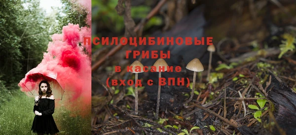 экстази Горнозаводск