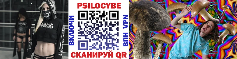 Галлюциногенные грибы Cubensis  Вологда 